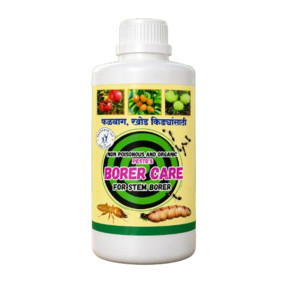 Borer Care