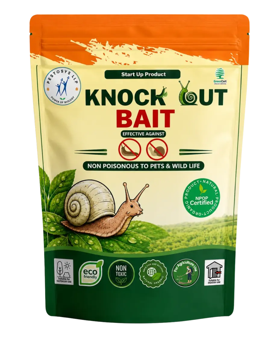 Knock Out Bait